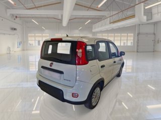 FIAT Panda 1.0 firefly hybrid city life s&s 70cv