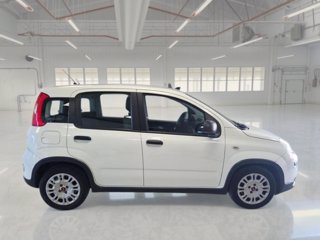 FIAT Panda 1.0 firefly hybrid city life s&s 70cv