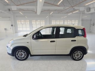 FIAT Panda 1.0 firefly hybrid city life s&s 70cv