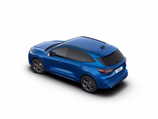 FORD Kuga 2.5 full hybrid st-line x 2wd 180cv auto
