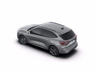 FORD Kuga 2.5 full hybrid st-line 2wd 180cv auto