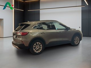 FORD Kuga 1.5 ecoblue titanium business 2wd 120cv auto