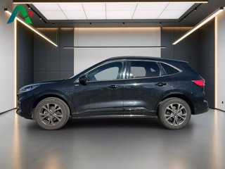 FORD Kuga 2.5 full hybrid st-line x awd 190cv cvt