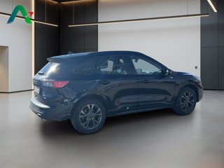 FORD Kuga 2.5 full hybrid st-line x awd 190cv cvt