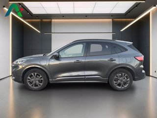 FORD Kuga 2.5 phev st-line 2wd 225cv cvt